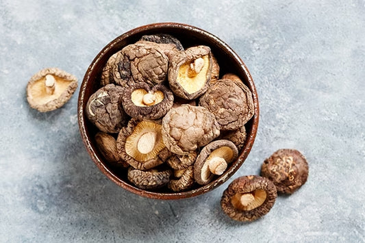 Guía de setas shiitake